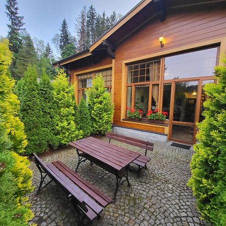 Apartament Jozefina 8 Dwupoziomowy Z Tarasem Шклярска Поремба Екстериор снимка